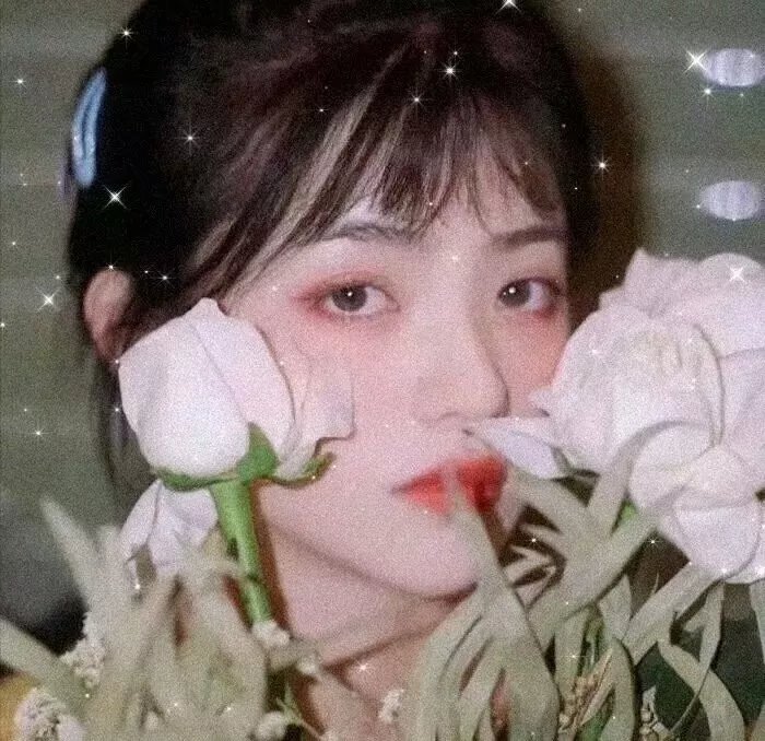 霸爱总裁
