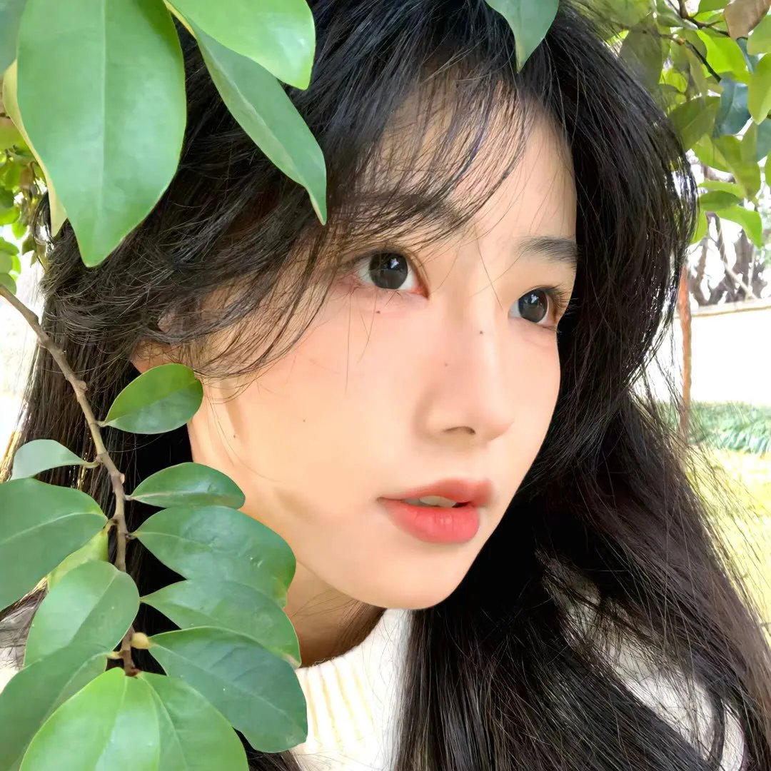 舞林大会