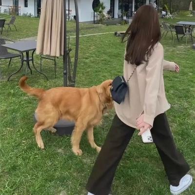 荒野狂兽