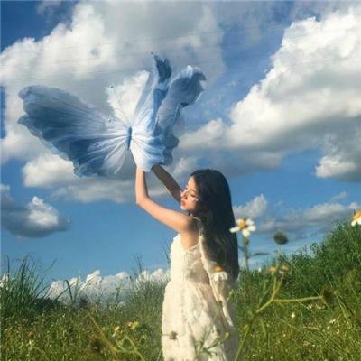 龙非龙凤非凤